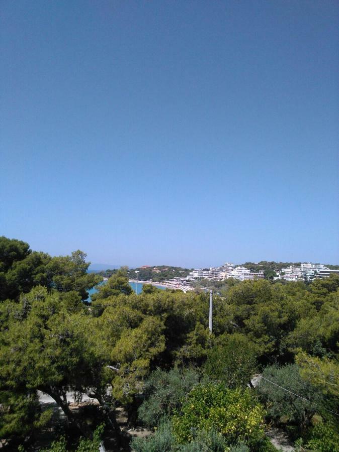 Comfortable Garden Apt Near Vouliagmeni Beach 雅典 外观 照片