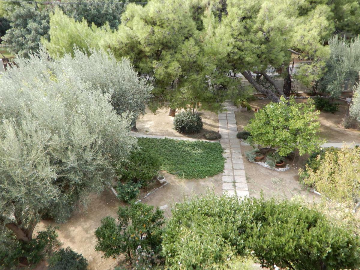 Comfortable Garden Apt Near Vouliagmeni Beach 雅典 外观 照片